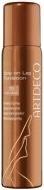 Immagine prodotto Artdeco Fondazione della gamba (Spray autoabbronzante, 100 ml)