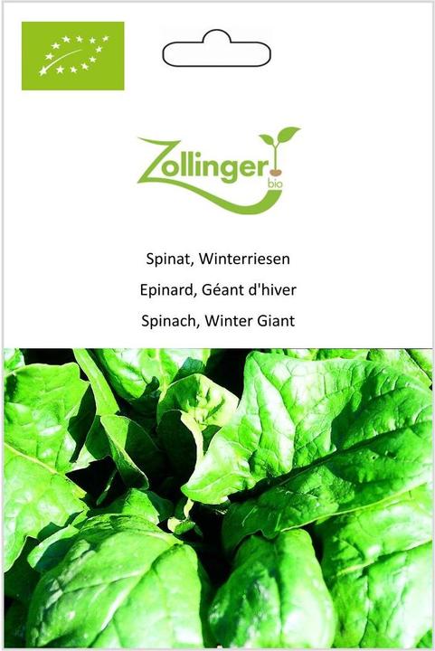 Image du produit Zollinger Bio Épinards, géants d'hiver (Germes)