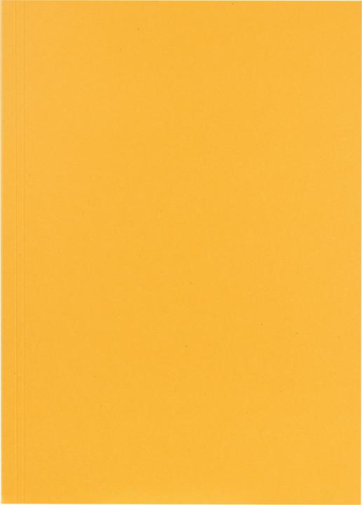 Actual product image Falken Aktensammler (A4, 1 x)