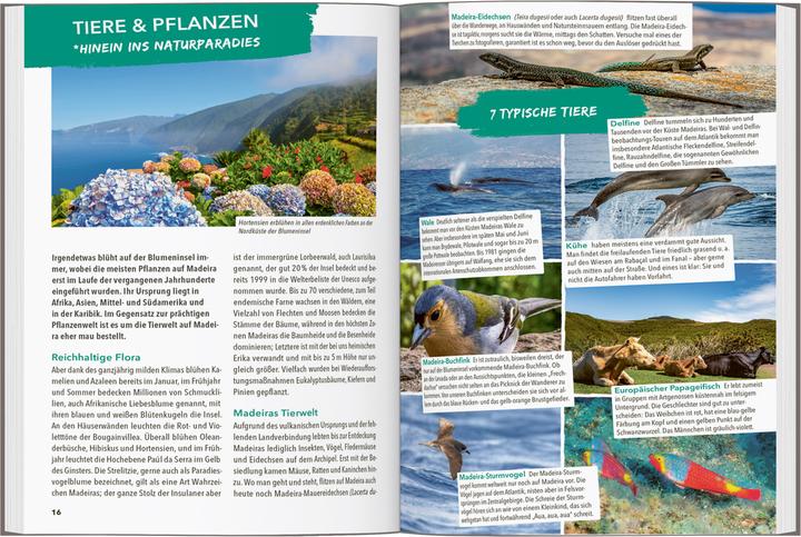 Produktbild OUTDOOR GUIDE Reiseführer Madeira (Deutsch, Sven Bremer, 2024)