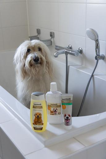 Produktbild Beeztees BZ MUNDWASSER HUND/KATZ 300ML (Hund, 300 ml)