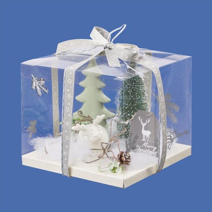 Immagine prodotto Hobby Fun Scatola per denaro e buoni regalo, trasparente (18 x 18 x 18 x 25 cm)