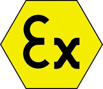 Image du produit UK Lampe de poche Zone Ex : 0 s 4 (15.80 cm, 170 lm)