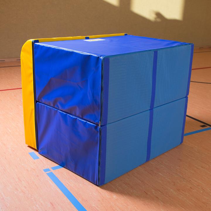 Actual product image Reivo Jumping table Rinogym