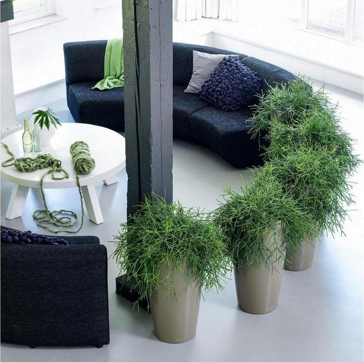 Produktbild Lechuza RONDO Premium. (40 cm)