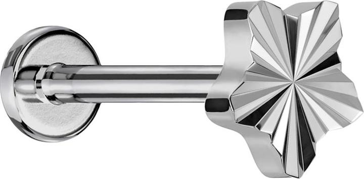 Star Piercing Micro Labret Innengewinde silber Diamantschliff Scheibe Stern silber (ohne Messing, Titan G23)