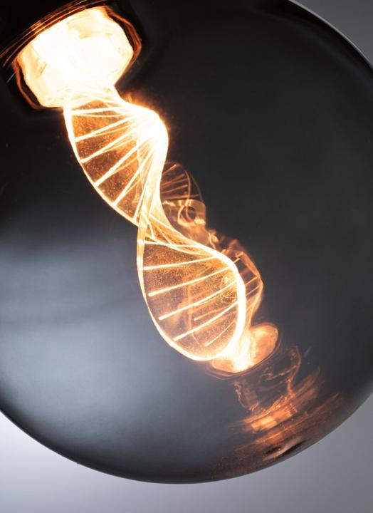 Actual product image Paulmann LED Globe Inner Glow Helix E27 (E27, 0.35 W, 90 lm, 1 x)