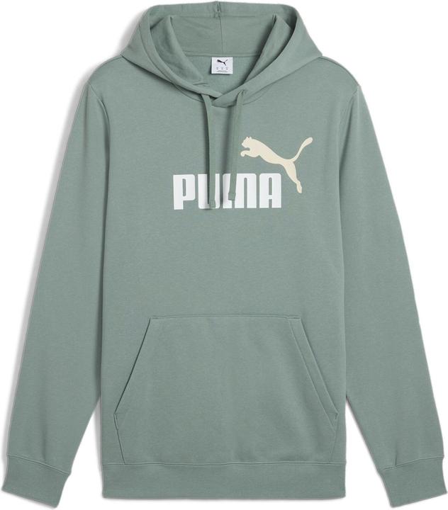 Puma ESS 2 COLOR No. 1 Logo Hoodie FL