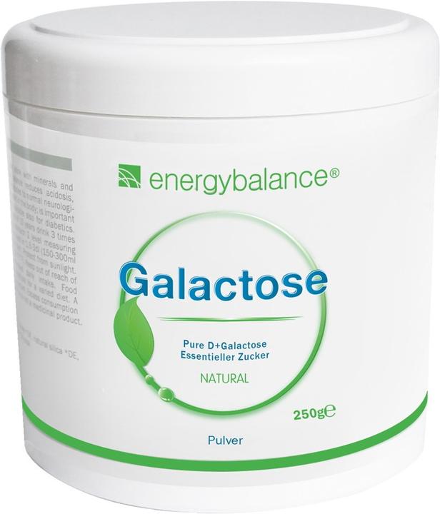 Actual product image Energybalance Galactose hochreines Pulver (1 Piece, Powder, 250 g)