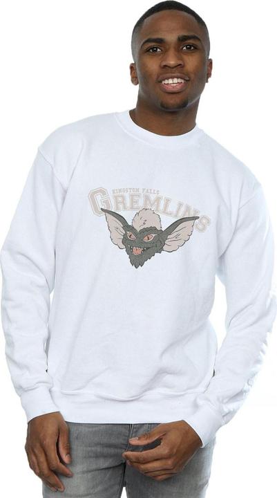 Actual product image Universal Textiles Mens Kingston Falls Sport Sweatshirt (S)