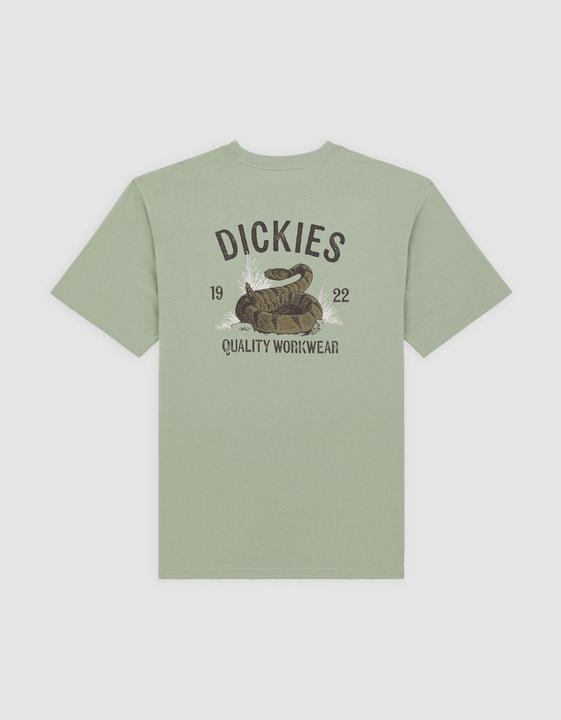Actual product image Dickies Snake Ss Tee Iceberg Green (XL)