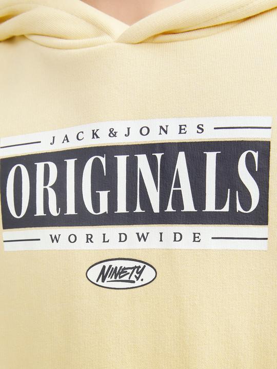 Image du produit Jack & Jones Jorcobin Sweat Hood Jnr (164)