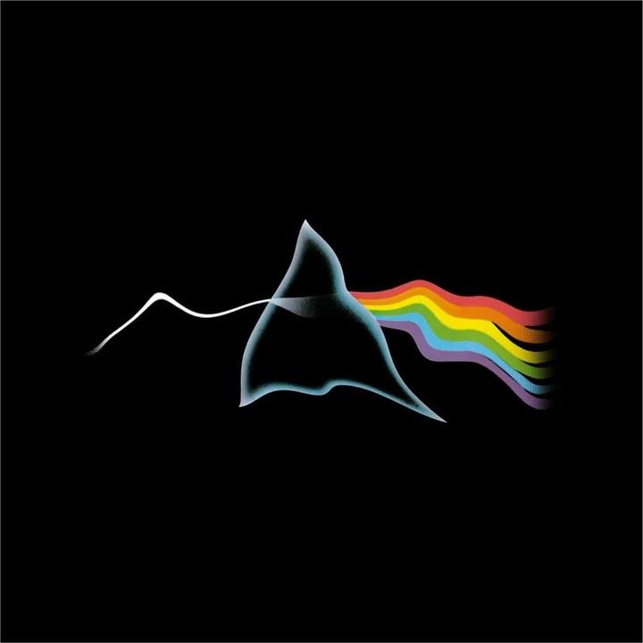 Produktbild Pink Floyd TShirt (L)