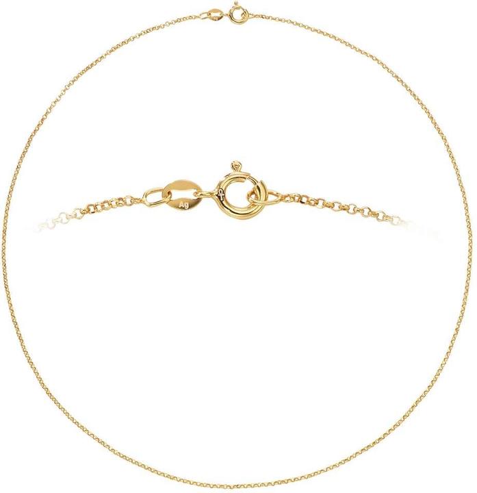 Image du produit Bijouteria Chaîne (Argent 925, Plaqué or (plaqué or), 45 cm)
