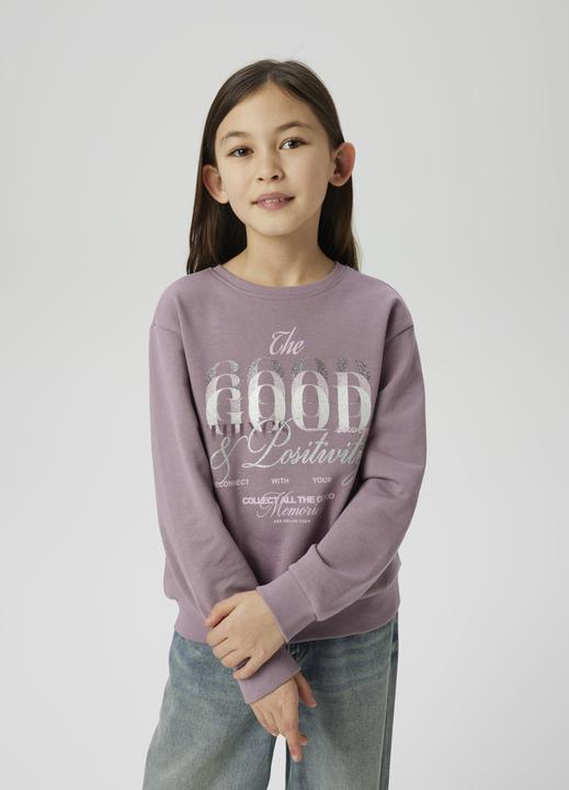 Image du produit Name it Bio-Baumwoll Sweatshirt (116)