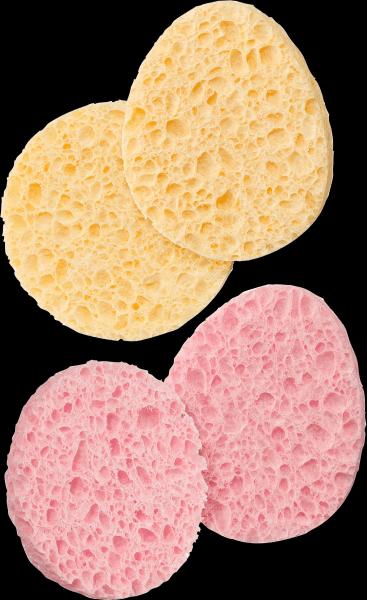 Actual product image dm ebelin Cosmetic sponges
