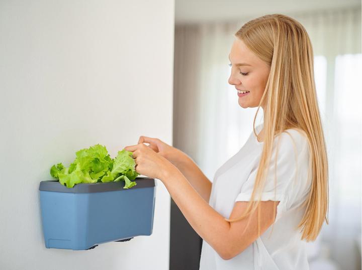 Produktbild Gusta Garden Wandhalterung HARRY HERBS, Schwarz