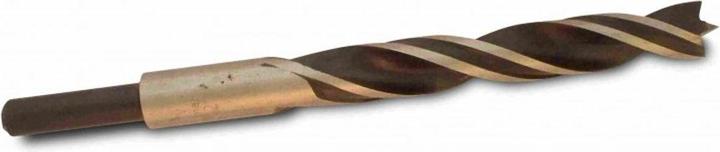 Actual product image Bosch Professional Zubehör Wood twist drill 12 mm Access (12 mm)