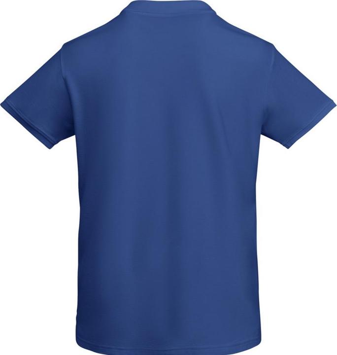 Actual product image Alpinia Mens Prince Short-Sleeved Polo Shirt (XL)