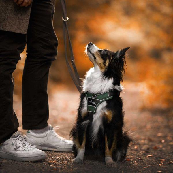 Produktbild Hunter Geschirr Divo (L, Hund, Hundesport)
