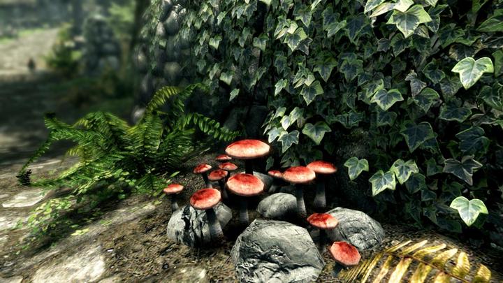 Immagine prodotto Bethesda The Elder Scrolls V: Skyrim (Switch, Multilingue)
