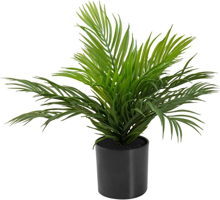 Produktbild Europalms Goldfruchtpalme, Kunstpflanze, 46 cm (46 cm)