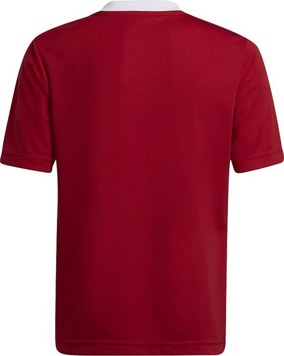 Actual product image adidas Entrada 22 Jersey (116)