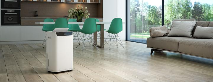 Actual product image Olimpia Splendid Aquaria S1 24P (100 m², 24 l/24h)