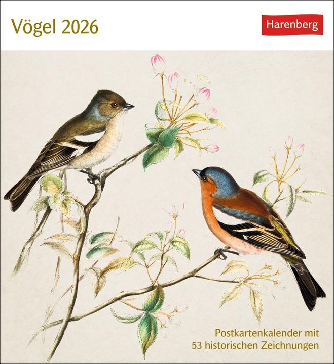 Actual product image Harenberg Vögel Postkartenkalender 2026 - Postkartenkalender mit 53 historischen Zeichnungen (German)