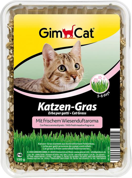 Produktbild Gimpet Katzengras mit Wiesenduft (Adult, 1 Stk., 150 g)
