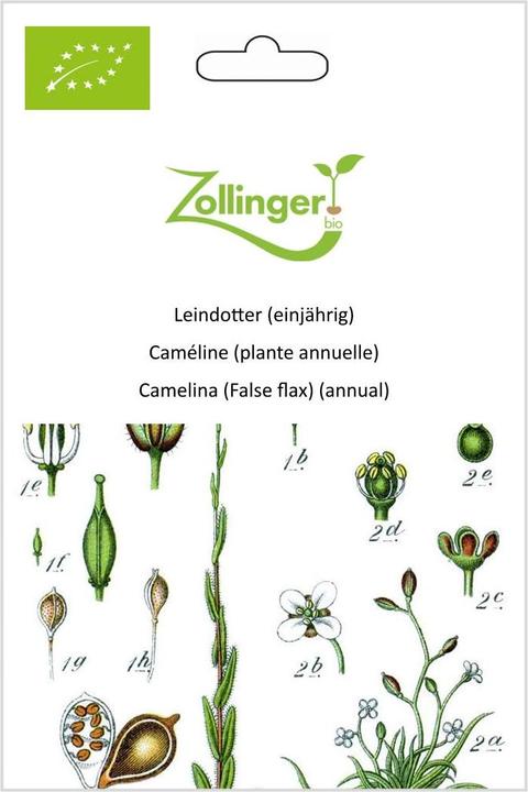 Image du produit Zollinger Bio Caméline (plante annuelle) (Germes)