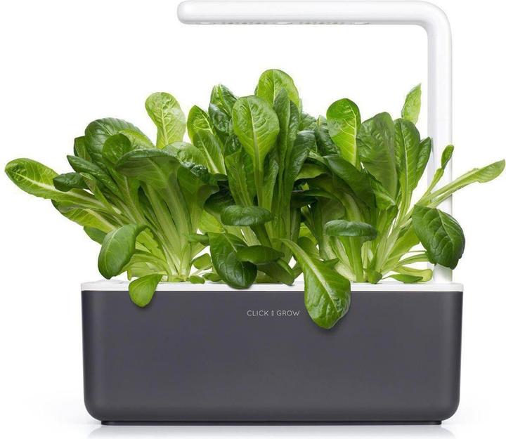 Produktbild Click and Grow Zugabe von Römersalat, 3 Stk (Keimlinge)