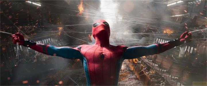 Image du produit Sony Spider-Man : Retour à la maison (DVD, 2017, Allemand)