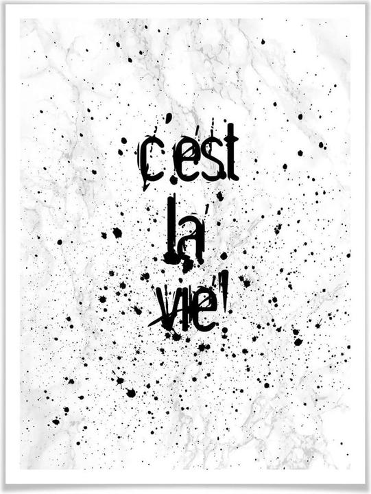 Immagine prodotto Trenddeko C'est la vie (50 x 60 cm)