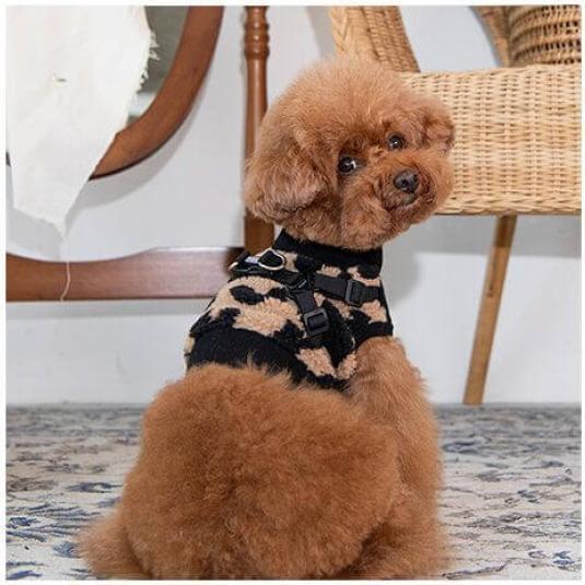 Produktbild Puppia Serval Harness Weiss XL (XL, Hundemantel)