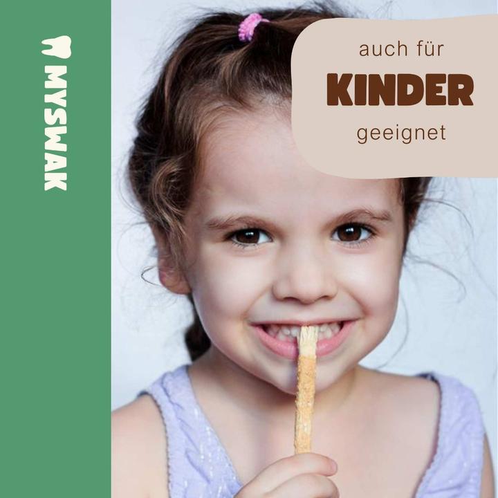 Produktbild Miswak Zahnputzholz (2 x)