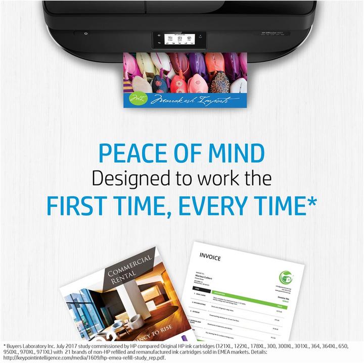 Actual product image HP Advanced Photo Paper 10 sheets (250 g/m², 101 x 305 mm, 10 x)