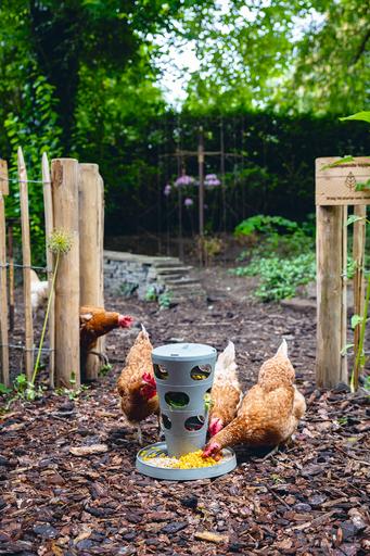 Image du produit Beeztees Mangeoire pour poules Tour d'alimentation, Gris
