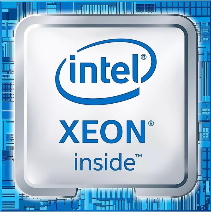 Intel Xeon E-2224 3.4 GHz (LGA 1151, 3.40 GHz, 4 -Core)