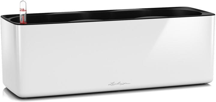 Immagine prodotto Lechuza Cubo lucido Triplo (14 cm)