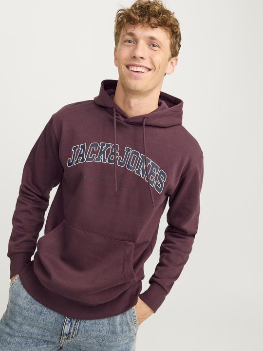 Produktbild Jack & Jones Jjecaleb Varsity Sweat Hood Noos (S)