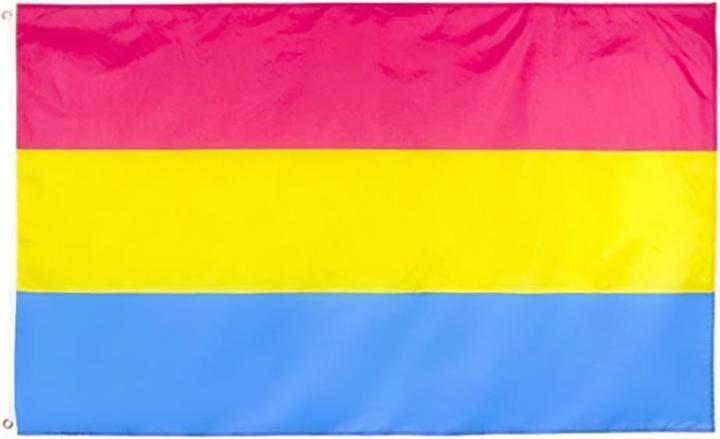 Produktbild Henbrandt Fahne Pansexual Polyester