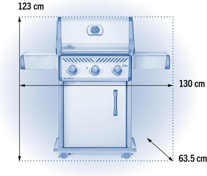 Immagine prodotto Napoleon Rogue XT 425 SIB Edelstahl (17.25 kW)
