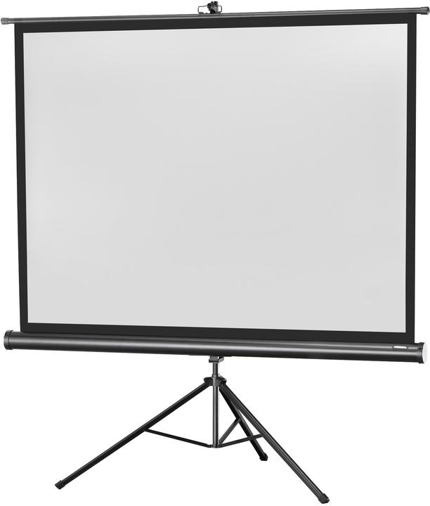 Actual product image Celexon Economy (86", 4:3)