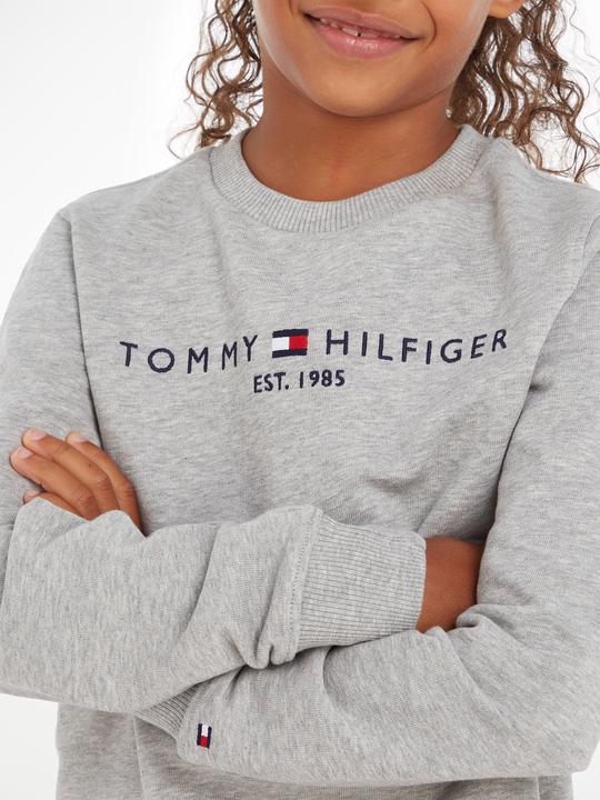 Produktbild Tommy Hilfiger Essential Sweatshirt (74)