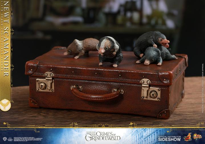 Image du produit Hot Toys Les Animaux Fantastiques 2 "Newt Scamander" 1/6 Scale Figurine