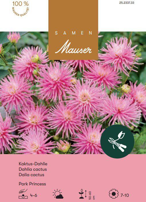 Actual product image Samen Mauser Bedding Dahlia Park Princess (Bulbous plant)