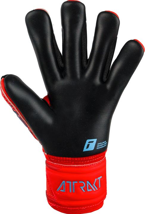 Image du produit Reusch Attrakt Duo (7.5)