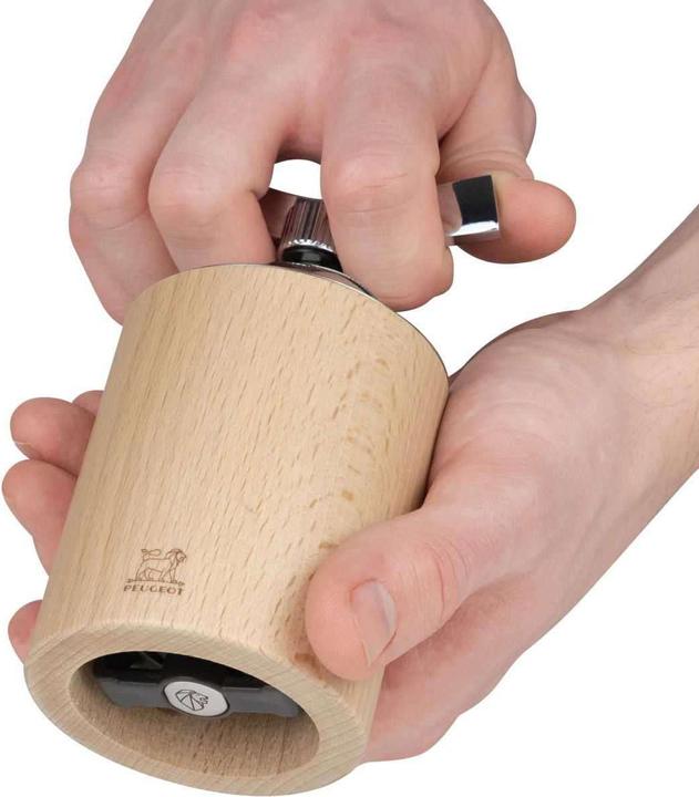 Actual product image Peugeot Isen (Various spices)