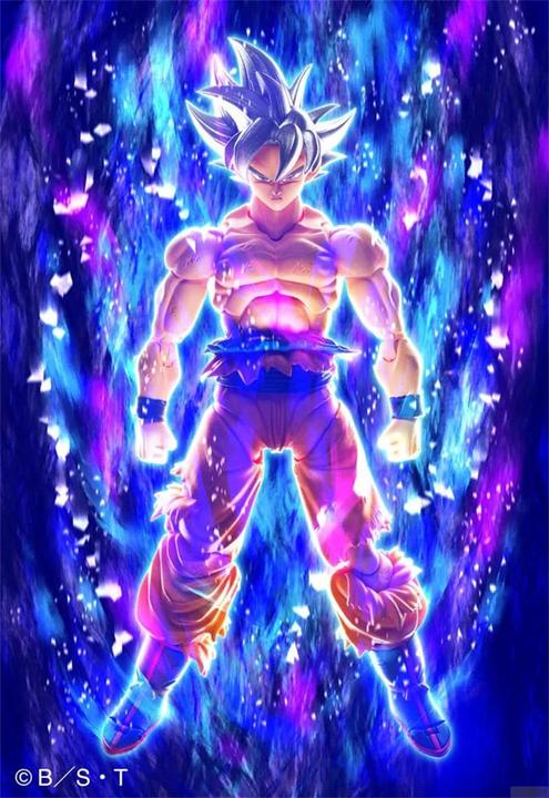 Image du produit Bandai Dragon Ball S.H. Figuarts Son Goku Ultra Instinct Toyotarou Edition)
